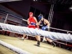 Campionat National de Box Tineret