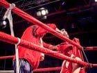 Campionat National de Box Tineret