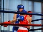 Campionat National de Box Tineret