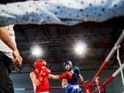 Campionat National de Box Tineret