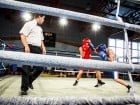 Campionat National de Box Tineret