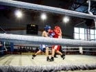 Campionat National de Box Tineret