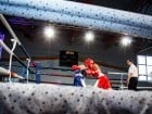 Campionat National de Box Tineret