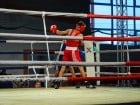 Campionat National de Box Tineret