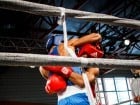 Campionat National de Box Tineret