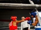 Campionat National de Box Tineret