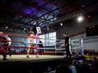 Campionat National de Box Tineret