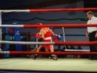 Campionat National de Box Tineret