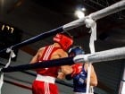 Campionat National de Box Tineret