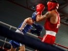 Campionat National de Box Tineret