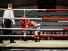 Campionat National de Box Tineret