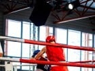 Campionat National de Box Tineret