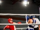 Campionat National de Box Tineret