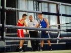 Campionat National de Box Tineret