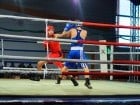 Campionat National de Box Tineret