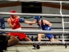 Campionat National de Box Tineret