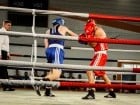 Campionat National de Box Tineret