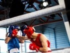 Campionat National de Box Tineret