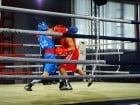 Campionat National de Box Tineret