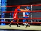 Campionat National de Box Tineret