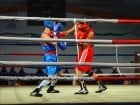 Campionat National de Box Tineret