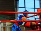 Campionat National de Box Tineret