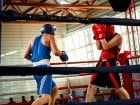 Campionat National de Box Tineret