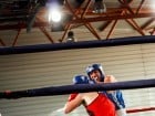 Campionat National de Box Tineret