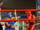 Campionat National de Box Tineret