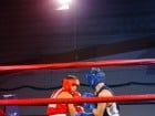 Campionat National de Box Tineret