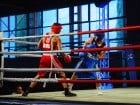 Campionat National de Box Tineret