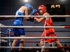 Campionat National de Box