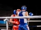 Campionat National de Box