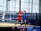 Campionat National de Box