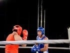 Campionat National de Box