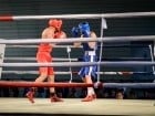 Campionat National de Box