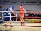 Campionat National de Box