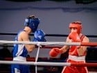 Campionat National de Box