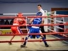 Campionat National de Box