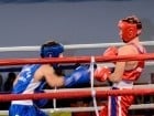 Campionat National de Box