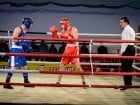 Campionat National de Box