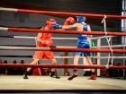 Campionat National de Box