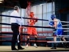 Campionat National de Box