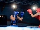 Campionat National de Box