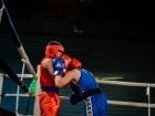 Campionat National de Box