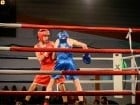 Campionat National de Box