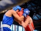 Campionat National de Box