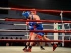 Campionat National de Box