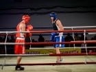 Campionat National de Box