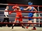 Campionat National de Box